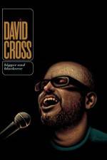 Watch David Cross Bigger & Blackerer Solarmovie