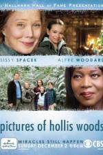 Watch Pictures of Hollis Woods Solarmovie