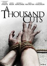 Watch A Thousand Cuts Solarmovie