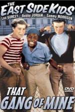 Watch That Gang of Mine Solarmovie