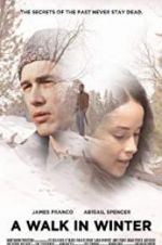 Watch A Walk in Winter Solarmovie