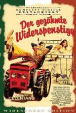 Watch The Taming of the Scoundrel Solarmovie