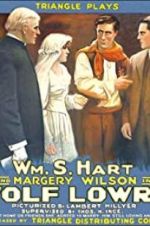 Watch Wolf Lowry Solarmovie