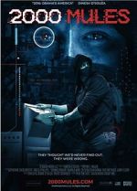 Watch 2000 Mules Solarmovie