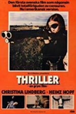 Watch Thriller: A Cruel Picture Solarmovie