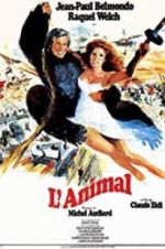 Watch Animal Solarmovie