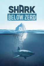 Watch Shark Below Zero Solarmovie