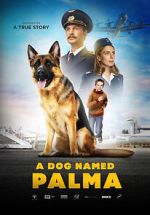 Watch Palma Solarmovie