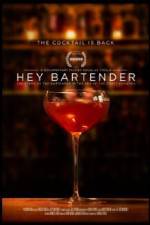Watch Hey Bartender Solarmovie