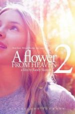 Watch A Flower From Heaven 2 Solarmovie