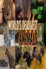 Watch National Geographic - Worlds Deadliest Animal Battles Solarmovie