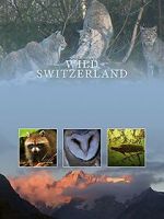 Watch Wilde Schweiz Solarmovie
