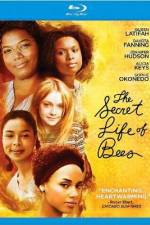 Watch The Secret Life of Bees Solarmovie