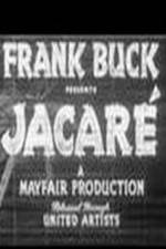 Watch Jacare Solarmovie