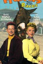 Watch Francis Goes to the Races Solarmovie