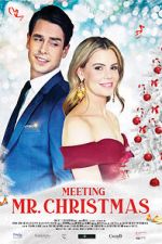 Watch Meeting Mr. Christmas Solarmovie
