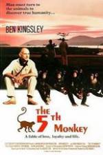Watch O Quinto Macaco Solarmovie