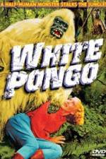 Watch White Pongo Solarmovie