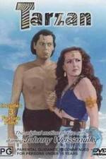 Watch Tarzan's Desert Mystery Solarmovie