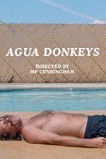 Watch Agua Donkeys Solarmovie