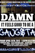 Watch AIW Damn It Feels Good To Be A Gangsta Solarmovie