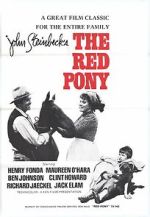 Watch The Red Pony Solarmovie