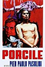 Watch Porcile Solarmovie