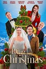 Watch A Ring for Christmas Solarmovie