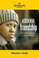 Watch Accidental Friendship Solarmovie