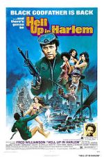 Watch Hell Up in Harlem Solarmovie