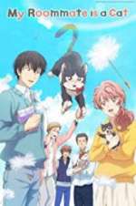 Watch My Roommate Is a Cat Solarmovie