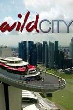 Watch Wild City Solarmovie