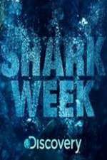 Watch Shark Week Solarmovie