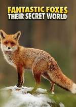 Watch Fantastic Foxes: Their Secret World Solarmovie