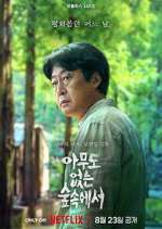Watch The Frog Solarmovie