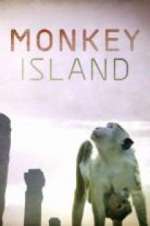 Watch Monkey Island Solarmovie