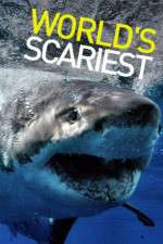 Watch World's Scariest... Solarmovie