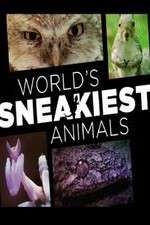 Watch World's Sneakiest Animals Solarmovie