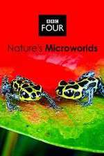 Watch Natures Microworlds Solarmovie