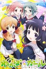 Watch Wakaba Girl Solarmovie