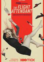 Watch The Flight Attendant Solarmovie
