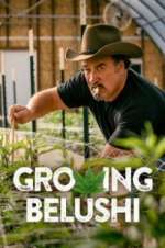Watch Growing Belushi Solarmovie