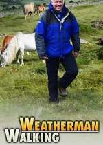 Watch Weatherman Walking Solarmovie