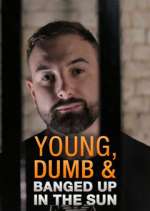 Watch Young Dumb & Banged Up in the Sun Solarmovie
