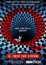 Watch Q: Into the Storm Solarmovie