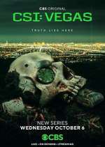 Watch CSI: Vegas Solarmovie