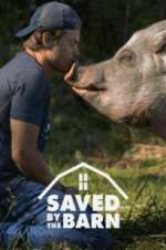 Watch Saved by the Barn Solarmovie