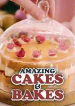 Watch Amazing Cakes & Bakes Solarmovie