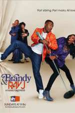 Watch Brandy and Ray J: A Family Business Solarmovie