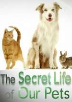 Watch The Secret Life of Our Pets Solarmovie